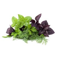 herbs